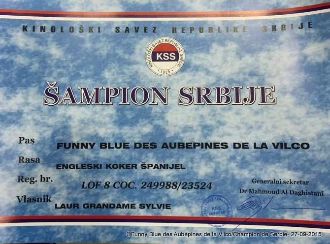 des aubépines de la Vilco - Funny Blue des aubépines de La.Vilco Champion de beauté de Serbie