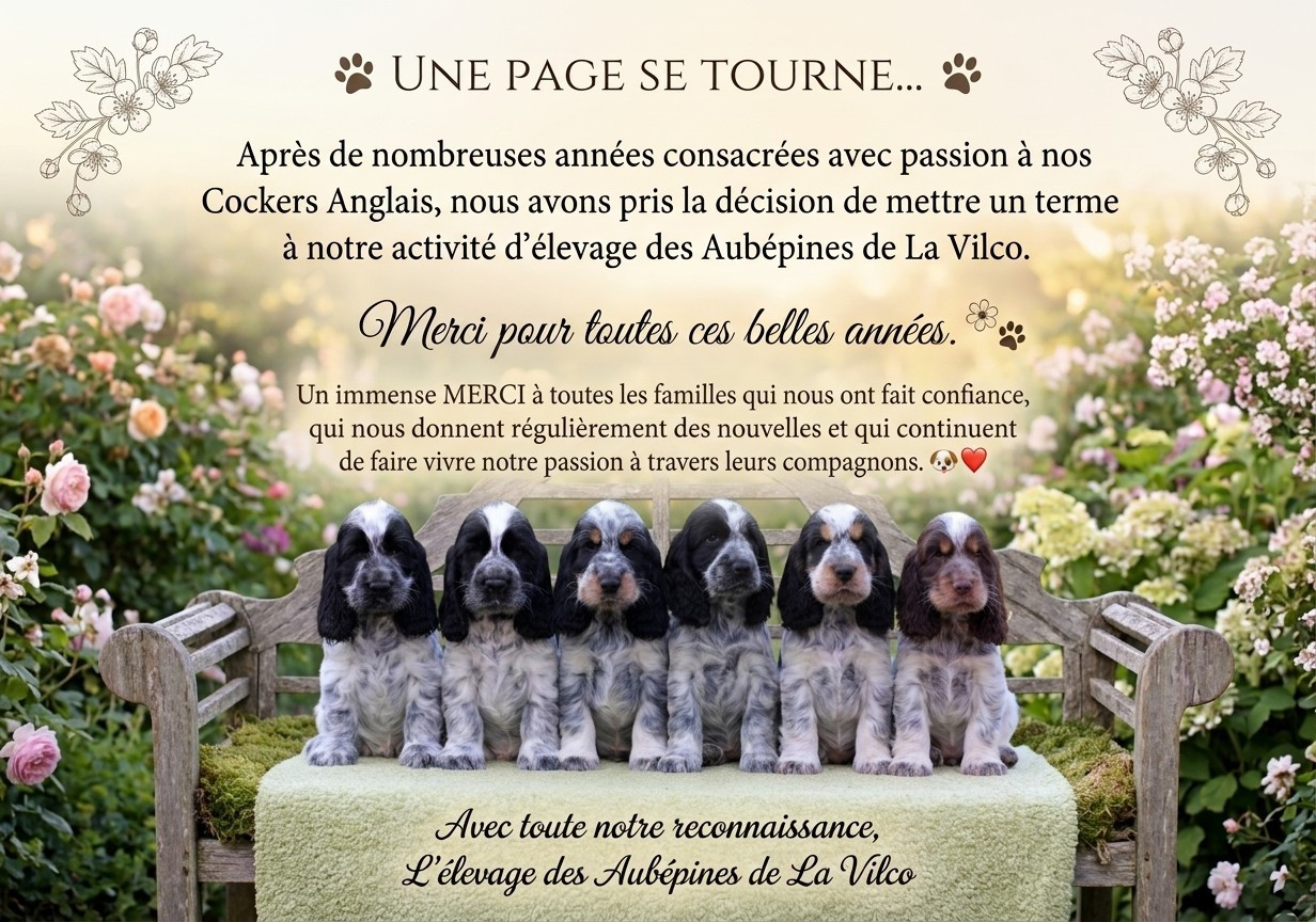 🐾 UNE PAGE SE TOURNE 🐾